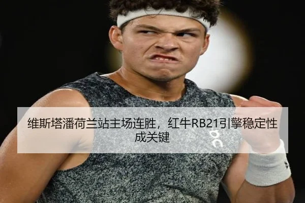 wei-si-ta-pan-he-lan-zhan-zhu-chang-lian-sheng-hong-niu-yin-qing-wen-ding-xing-cheng-guan-jian-3-331.jpg