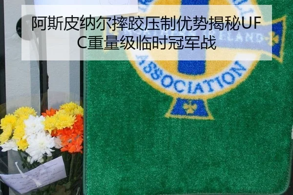 a-si-pi-na-er-shuai-jiao-ya-zhi-you-shi-jie-mi-zhong-liang-ji-lin-shi-guan-jun-zhan-2-954.jpg