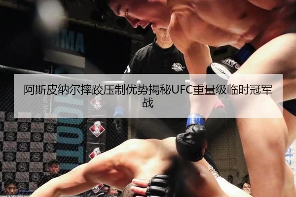 阿斯皮纳尔摔跤压制优势揭秘UFC重量级临时冠军战